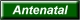 Antenatal
